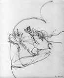 zum Vergr&ouml;&szlig;ern bitte anklicken!